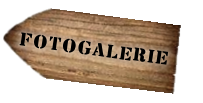 Fotogalerie